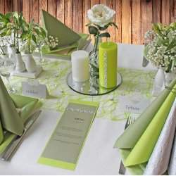 Bordl�ber Limegr�n sizoweb, 30 cm x 25 m.