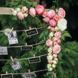 sm� sorte klemmer til billederanke