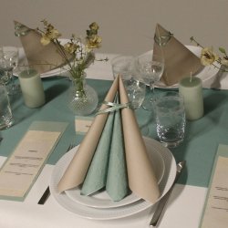 Eukalyptus servietter med embossede blade, frokoststr. 16 stk.