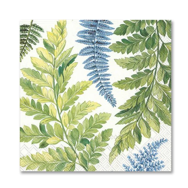 Servietter, Bregner, frokoststr. 20 stk.