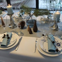 St�vbl� stoflignende servietter 40x40 cm. 12 stk.