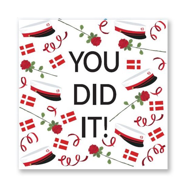 Servietter student STX/r�d 'you did it' 33x33 cm. 20 stk.