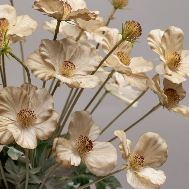 Anemone silkeblomst powder 58 cm.