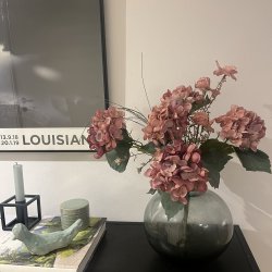 Hortensia silkeblomst, stilk med 5 hoveder, gammelrosa, 38 cm.