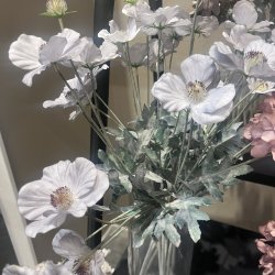 Anemone silkeblomst, st�vbl�, 58 cm.