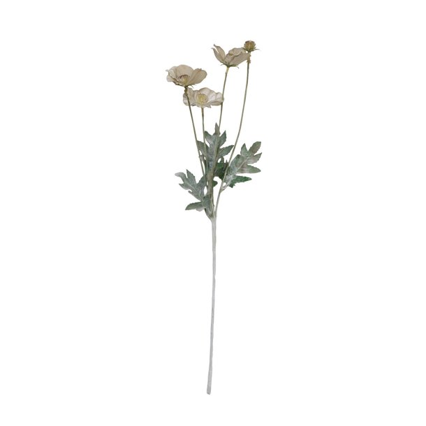 Anemone silkeblomst stvgrn 58 cm.