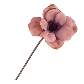 Stor anemone silkeblomst, gammelrosa, 25 cm.