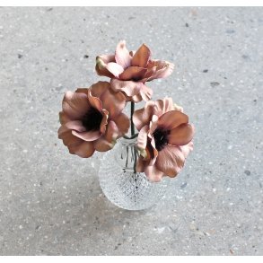 Stor anemone silkeblomst, gammelrosa, 25 cm.