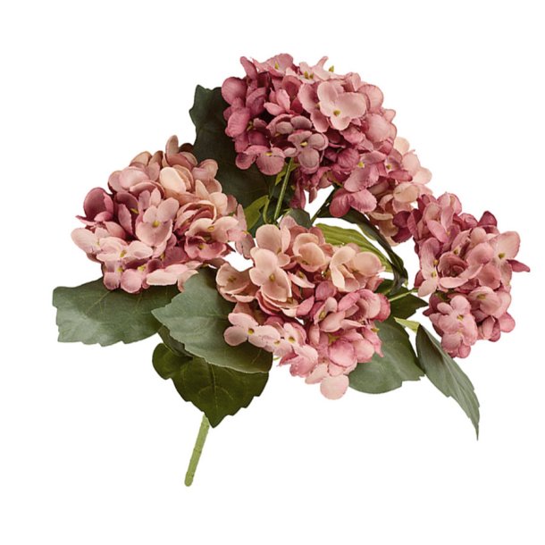 Hortensia silkeblomst, stilk med 5 hoveder, gammelrosa, 38 cm.