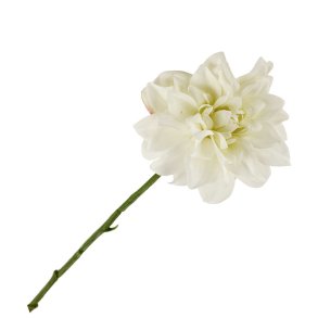 Dahlia silkeblomst, hvid 35 cm. 