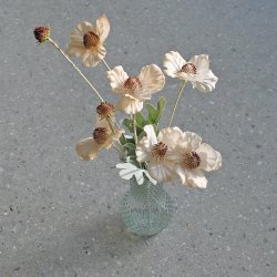 Anemone silkeblomst powder 58 cm.