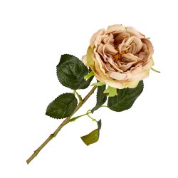 Rose silkeblomst, powder/gammelrosa, 35 cm.