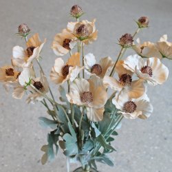 Anemone silkeblomst powder 58 cm.