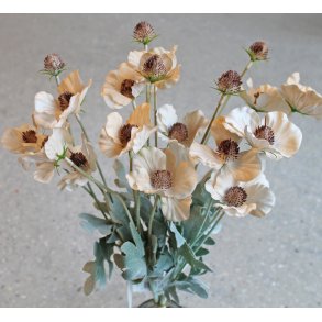 Anemone silkeblomst powder 58 cm.