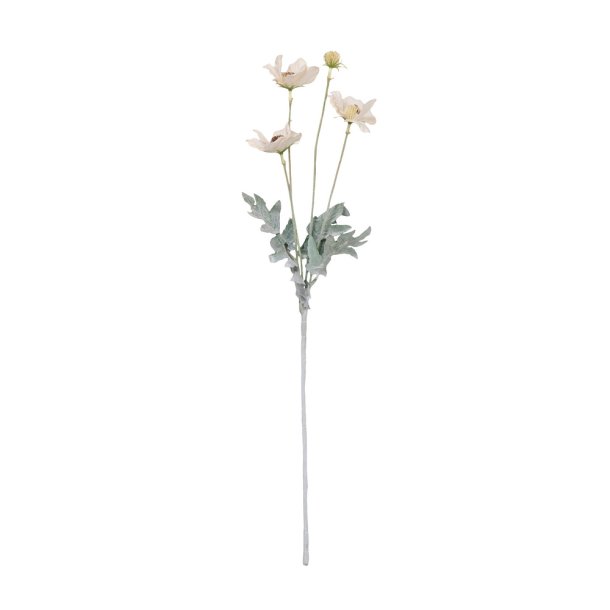 Anemone silkeblomst powder 58 cm.