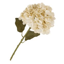 Stor r�hvid hortensia silkeblomst, 55 cm.