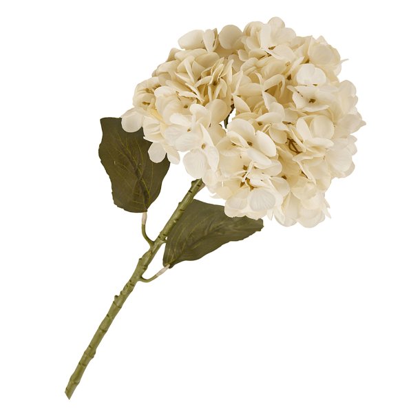 Stor rhvid hortensia silkeblomst, 55 cm.