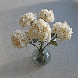 Stor r�hvid hortensia silkeblomst, 55 cm.