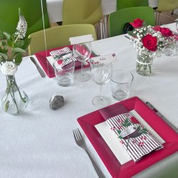 Bordkort til f�dselsdag og fest, dannebrog og blomster, 10 stk.